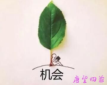 缘分给你的一个机会